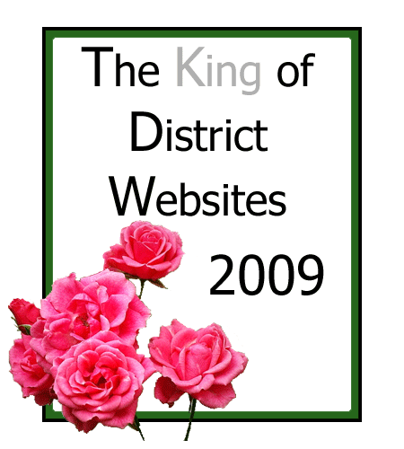 2009 King of District Websites