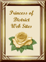2007 Princess of District Web Sites