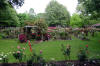 an overview of the Mosers' garden