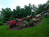 main rose garden with flag in the background